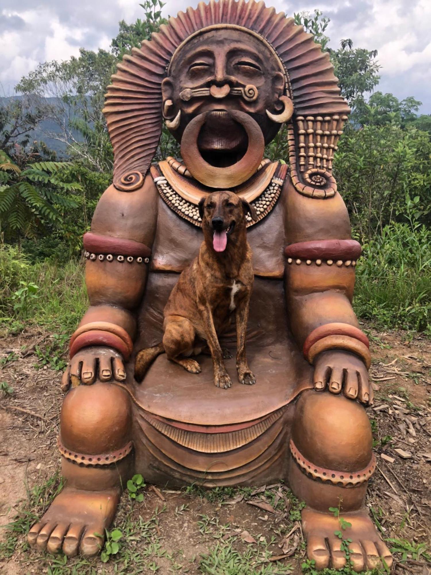 Ritmo Del Rio Villa San Rafael  Dış mekan fotoğraf